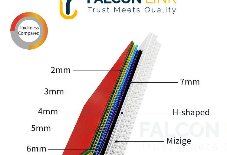 WhatsApp Image 2025-06-19 at 21.31.41