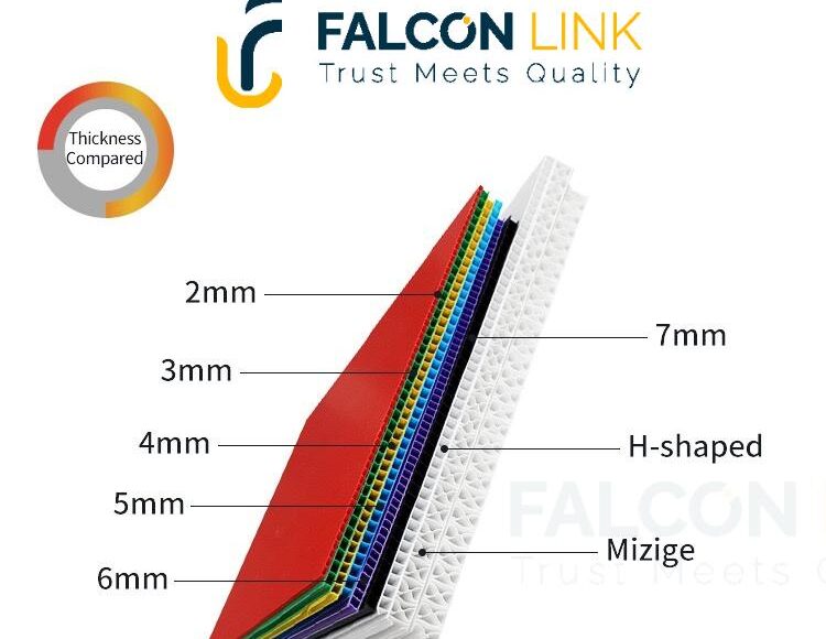 WhatsApp Image 2025-06-19 at 21.31.41